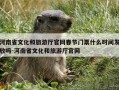 河南省文化和旅游厅官网春节门票什么时间发放吗-河南省文化和旅游厅官网