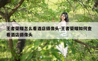 王者荣耀怎么看酒店摄像头-王者荣耀如何查看酒店摄像头