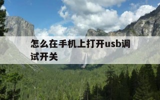 怎么在手机上打开usb调试开关-如何在手机上打开usb调试开关