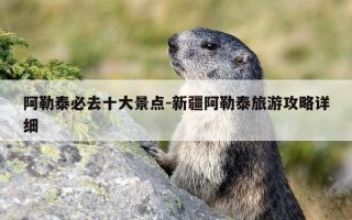 阿勒泰必去十大景点-新疆阿勒泰旅游攻略详细