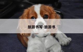 旅游书写-旅游书
