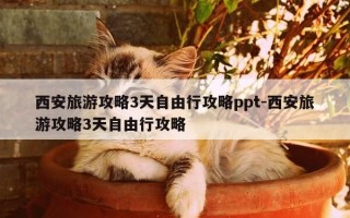 西安旅游攻略3天自由行攻略ppt-西安旅游攻略3天自由行攻略