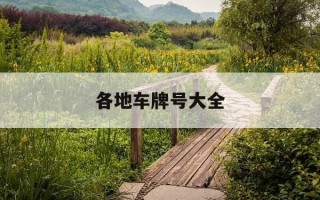 各地车牌号大全-各地车牌号码大全