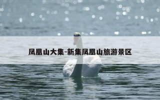 凤凰山大集-新集凤凰山旅游景区