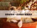 张掖旅游团一日游报价-张掖旅游