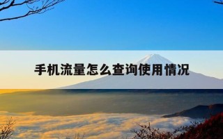 手机流量怎么查询使用情况-手机流量怎么查询使用情况明细