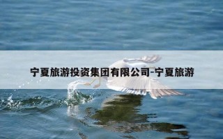 宁夏旅游投资集团有限公司-宁夏旅游