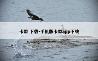 卡盟 下载-手机版卡盟app下载