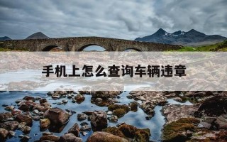 手机上怎么查询车辆违章-怎么在手机上查询车辆违章记录