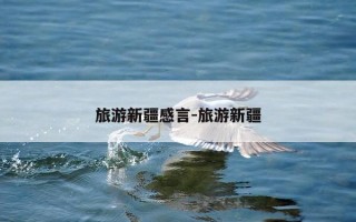 旅游新疆感言-旅游新疆