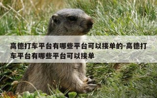 高德打车平台有哪些平台可以接单的-高德打车平台有哪些平台可以接单