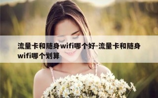 流量卡和随身wifi哪个好-流量卡和随身wifi哪个划算