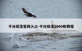 千川投流官网入口-千川投流1000粉教程