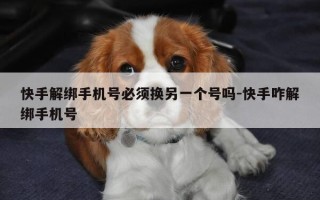 快手解绑手机号必须换另一个号吗-快手咋解绑手机号