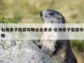 北海亲子旅游攻略必去景点-北海亲子旅游攻略