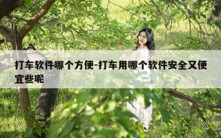 打车软件哪个方便-打车用哪个软件安全又便宜些呢