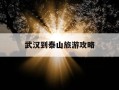 武汉到泰山旅游攻略-武汉去泰山怎么坐飞机