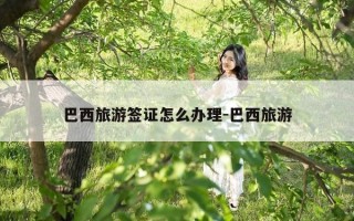 巴西旅游签证怎么办理-巴西旅游