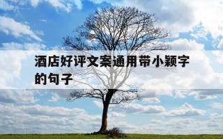 酒店好评文案通用带小颖字的句子-酒店点评好评大全100字
