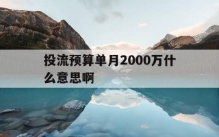 投流预算单月2000万什么意思啊-投流方案