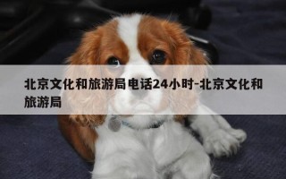 北京文化和旅游局电话24小时-北京文化和旅游局