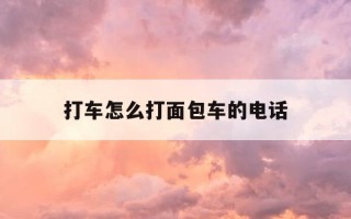 打车怎么打面包车的电话-打车怎样打面包车