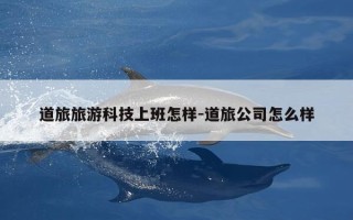 道旅旅游科技上班怎样-道旅公司怎么样