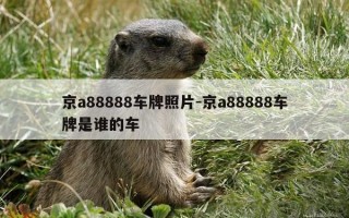 京a88888车牌照片-京a88888车牌是谁的车