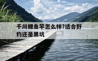 千川鲤鱼竿怎么样?适合野钓还是黑坑-千川鲤是综合竿吗