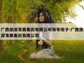 广西旅游发展集团有限公司领导班子-广西旅游发展集团有限公司
