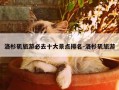 洛杉矶旅游必去十大景点排名-洛杉矶旅游