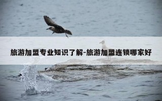 旅游加盟专业知识了解-旅游加盟连锁哪家好