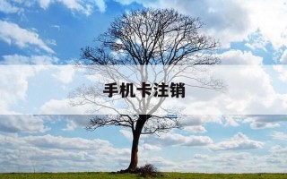 手机卡注销-手机卡注销需要多久