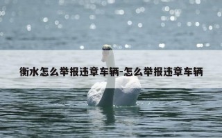 衡水怎么举报违章车辆-怎么举报违章车辆