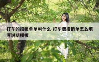 打车的报销单单叫什么-打车费报销单怎么填写说明模板