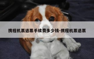 携程机票退票手续费多少钱-携程机票退票