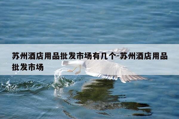 苏州酒店用品批发市场有几个-苏州酒店用品批发市场-第1张图片-优惠活动网