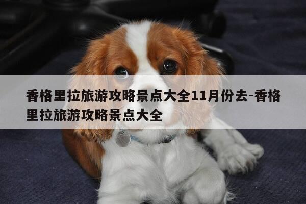 香格里拉旅游攻略景点大全11月份去-香格里拉旅游攻略景点大全-第1张图片-优惠活动网