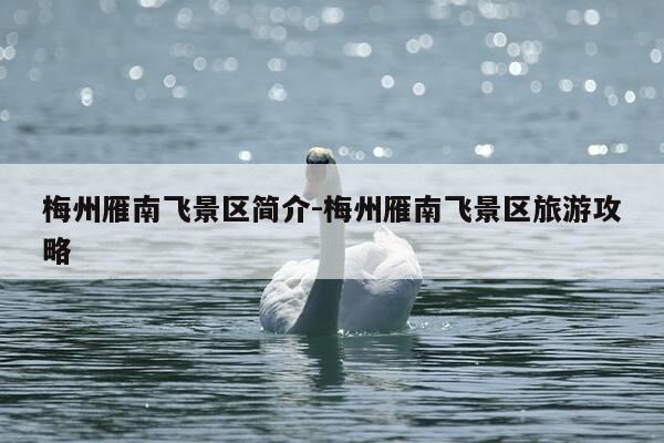 梅州雁南飞景区简介-梅州雁南飞景区旅游攻略-第1张图片-优惠活动网