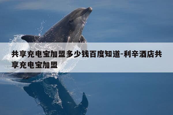 共享充电宝加盟多少钱百度知道-利辛酒店共享充电宝加盟-第1张图片-优惠活动网