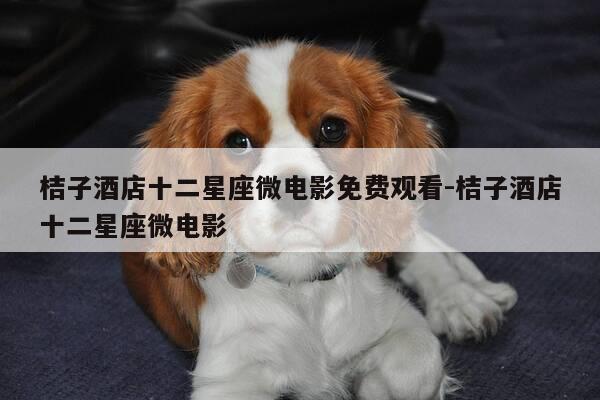 桔子酒店十二星座微电影免费观看-桔子酒店十二星座微电影-第1张图片-优惠活动网