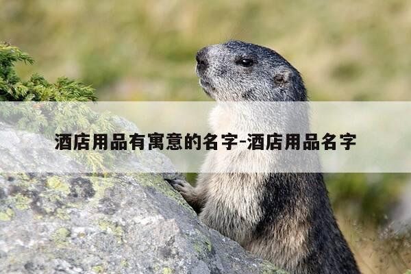 酒店用品有寓意的名字-酒店用品名字-第1张图片-优惠活动网