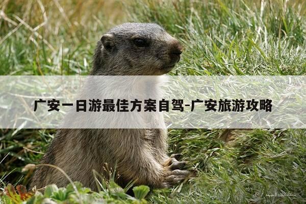 广安一日游最佳方案自驾-广安旅游攻略-第1张图片-优惠活动网