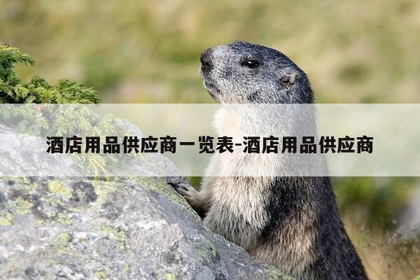 酒店用品供应商一览表-酒店用品供应商-第1张图片-优惠活动网
