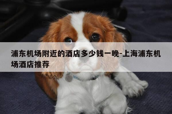 浦东机场附近的酒店多少钱一晚-上海浦东机场酒店推荐-第1张图片-优惠活动网 浦东机场附近的酒店多少钱一晚-上海浦东机场酒店推荐-第1张图片-优惠活动网