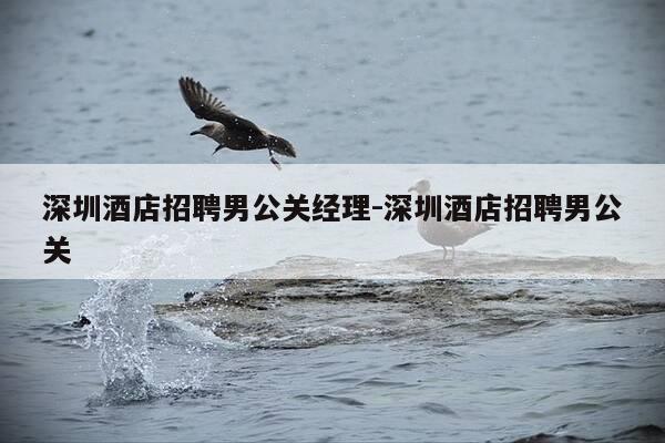 深圳酒店招聘男公关经理-深圳酒店招聘男公关-第1张图片-优惠活动网 深圳酒店招聘男公关经理-深圳酒店招聘男公关-第1张图片-优惠活动网