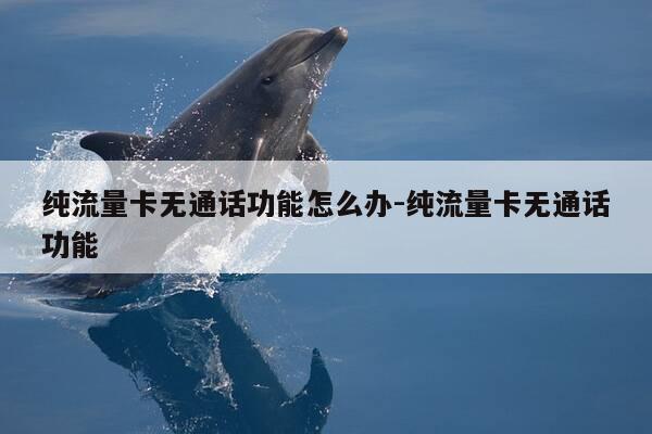 纯流量卡无通话功能怎么办-纯流量卡无通话功能-第1张图片-优惠活动网 纯流量卡无通话功能怎么办-纯流量卡无通话功能-第1张图片-优惠活动网