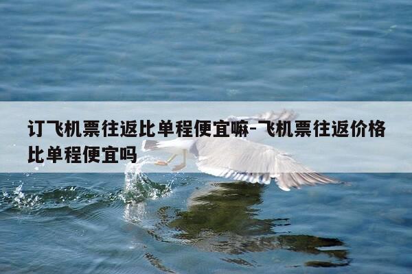 订飞机票往返比单程便宜嘛-飞机票往返价格比单程便宜吗-第1张图片-优惠活动网