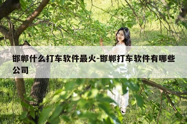 邯郸什么打车软件最火-邯郸打车软件有哪些公司-第1张图片-优惠活动网