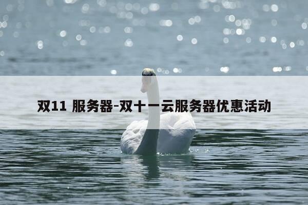 双11 服务器-双十一云服务器优惠活动-第1张图片-优惠活动网 双11 服务器-双十一云服务器优惠活动-第1张图片-优惠活动网